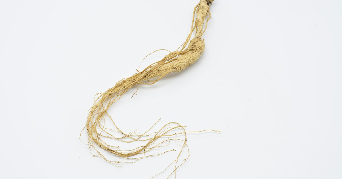 Ashwagandha für Frauen: Gibt es Besonderheiten