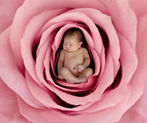 baby in flower A. Geddes baby names inspired by nature
